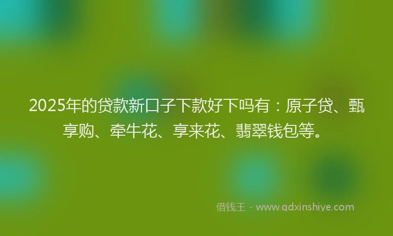 2025年的贷款新口子下款好下吗有:原子贷、甄享购、牵牛花、享来花、翡翠钱包等。