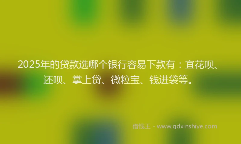 2025年的贷款选哪个银行容易下款有:宜花呗、还呗、掌上贷、微粒宝、钱进袋等。