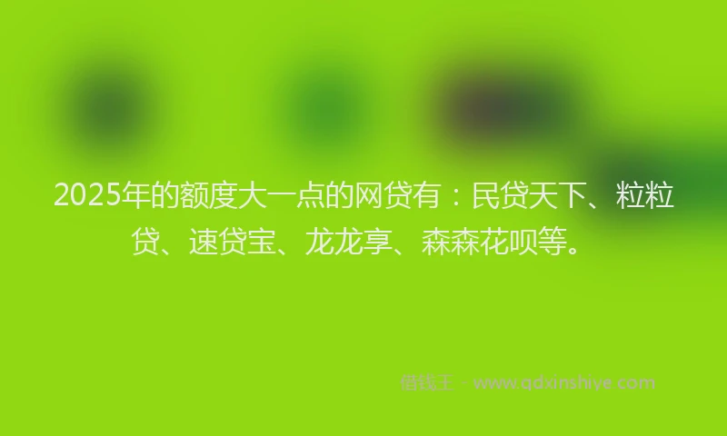 2025年的额度大一点的网贷有：民贷天下、粒粒贷、速贷宝、龙龙享、森森花呗等。