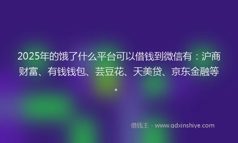 2025年的饿了什么平台可以借钱到微信有:沪商财富、有钱钱包、芸豆花、天美贷、京东金融等。