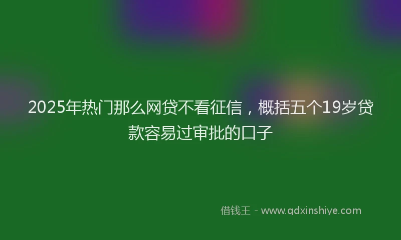 2025年热门那么网贷不看征信，概括五个19岁贷款容易过审批的口子