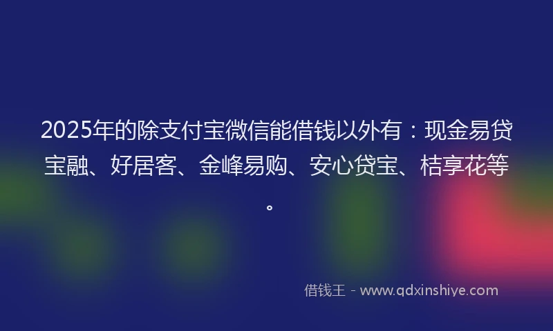 2025年的除支付宝微信能借钱以外有：现金易贷宝融、好居客、金峰易购、安心贷宝、桔享花等。