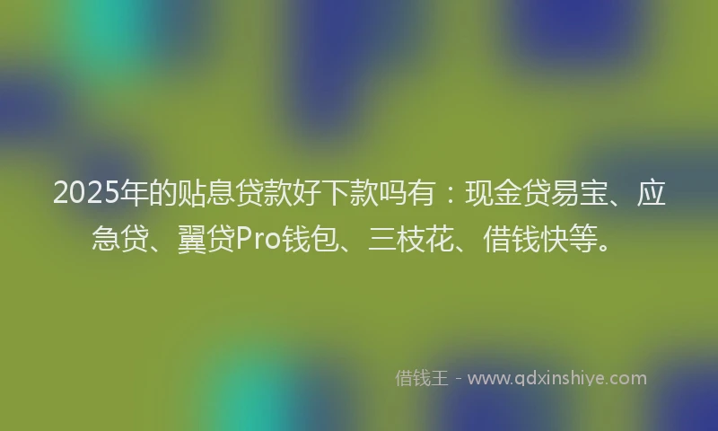 2025年的贴息贷款好下款吗有:现金贷易宝、应急贷、翼贷Pro钱包、三枝花、借钱快等。