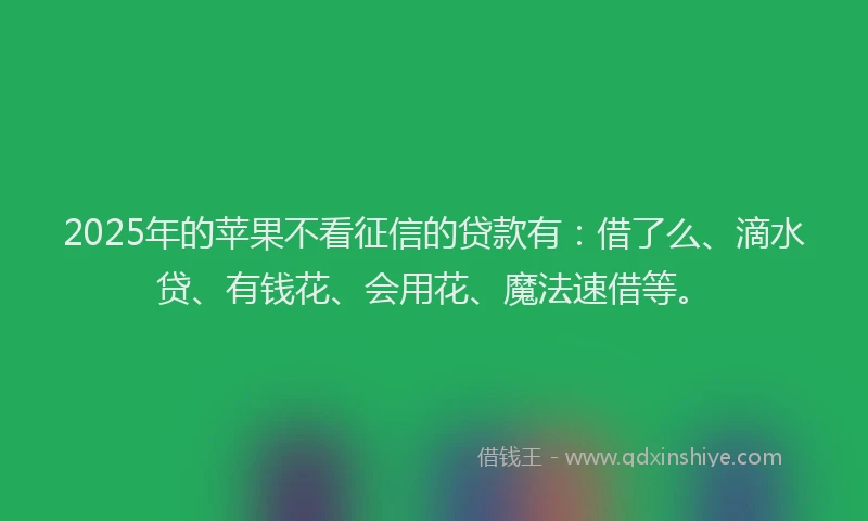 2025年的苹果不看征信的贷款有：借了么、滴水贷、有钱花、会用花、魔法速借等。