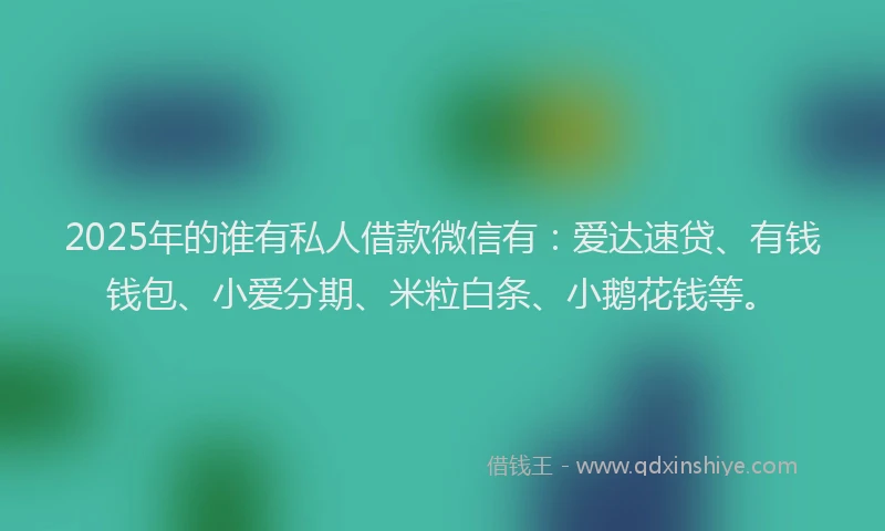 2025年的谁有私人借款微信有：爱达速贷、有钱钱包、小爱分期、米粒白条、小鹅花钱等。
