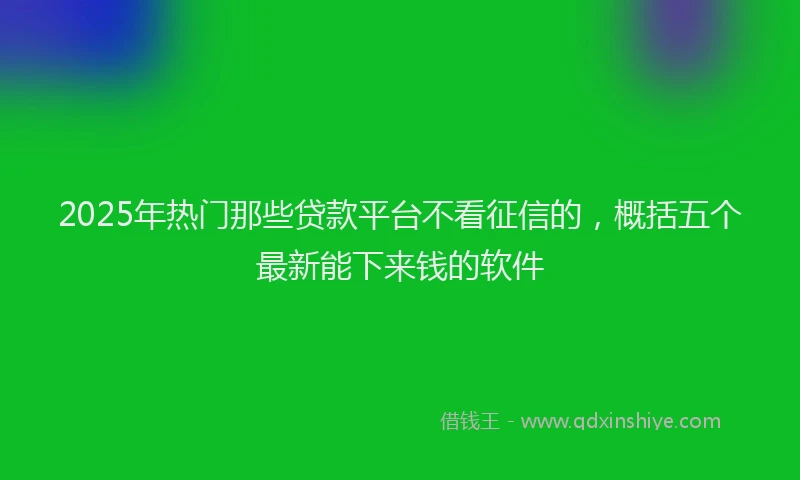2025年热门那些贷款平台不看征信的,概括五个最新能下来钱的软件