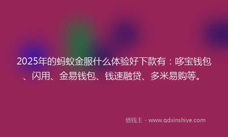 2025年的蚂蚁金服什么体验好下款有：哆宝钱包、闪用、金易钱包、钱速融贷、多米易购等。