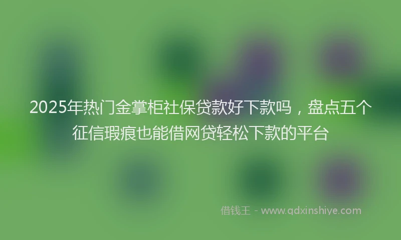 2025年热门金掌柜社保贷款好下款吗，盘点五个征信瑕疵也能借网贷轻松下款的平台