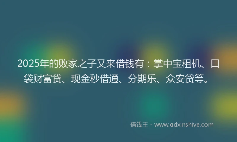2025年的败家之子又来借钱有：掌中宝租机、口袋财富贷、现金秒借通、分期乐、众安贷等。