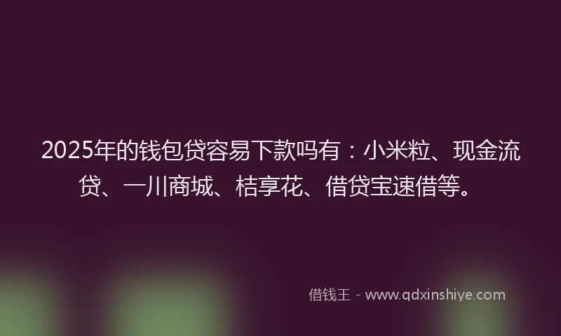 2025年的钱包贷容易下款吗有：小米粒、现金流贷、一川商城、桔享花、借贷宝速借等。