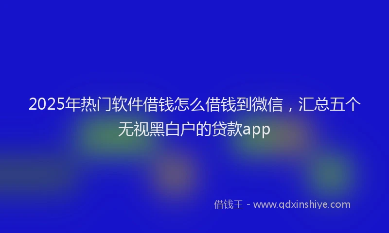 2025年热门软件借钱怎么借钱到微信,汇总五个无视黑白户的贷款app