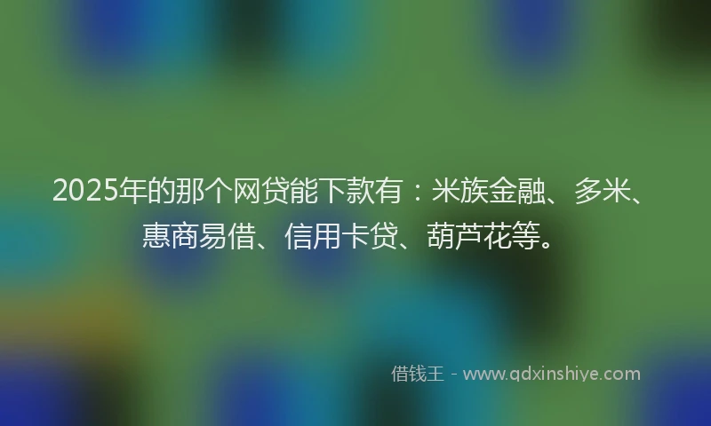 2025年的那个网贷能下款有：米族金融、多米、惠商易借、信用卡贷、葫芦花等。
