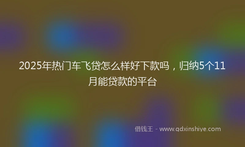 2025年热门车飞贷怎么样好下款吗，归纳5个11月能贷款的平台