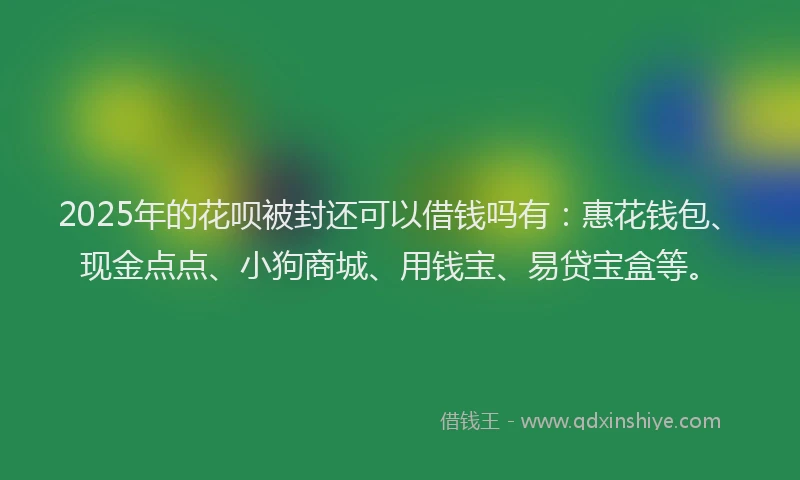 2025年的花呗被封还可以借钱吗有：惠花钱包、现金点点、小狗商城、用钱宝、易贷宝盒等。