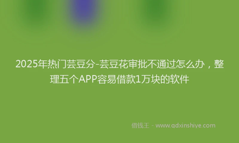 2025年热门芸豆分-芸豆花审批不通过怎么办,整理五个APP容易借款1万块的软件