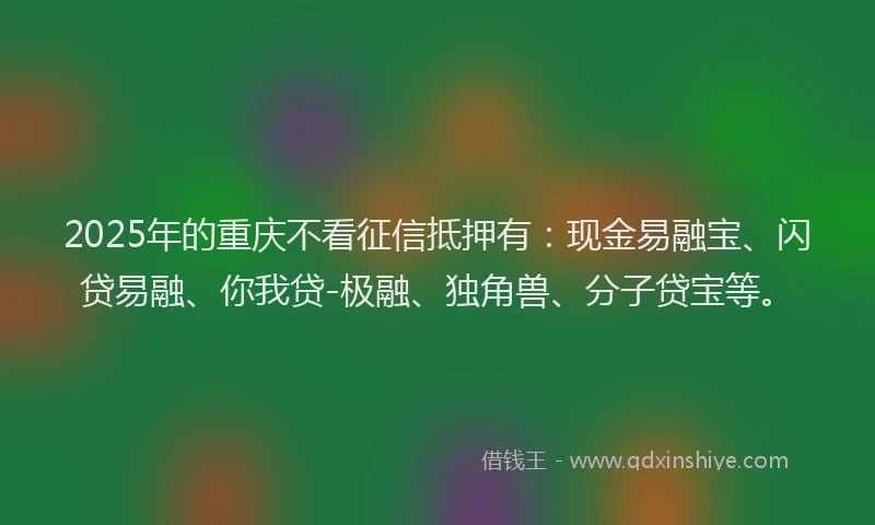 2025年的重庆不看征信抵押有：现金易融宝、闪贷易融、你我贷-极融、独角兽、分子贷宝等。