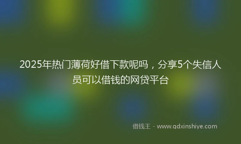 2025年热门薄荷好借下款呢吗，分享5个失信人员可以借钱的网贷平台