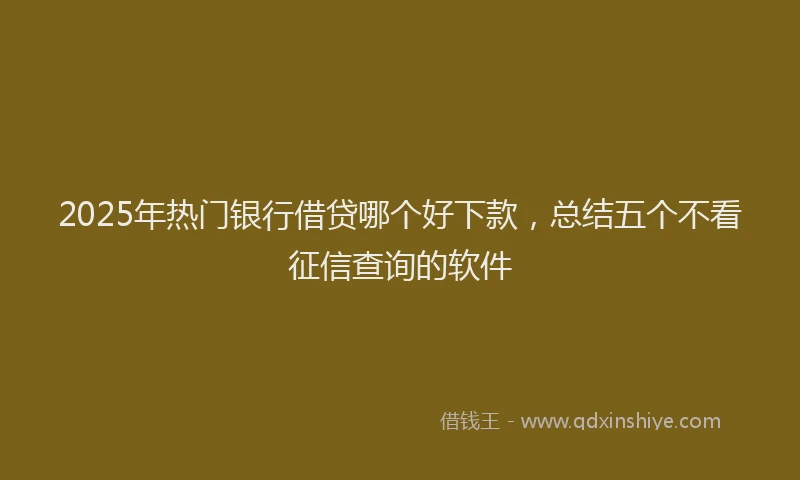 2025年热门银行借贷哪个好下款,总结五个不看征信查询的软件