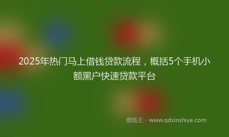 2025年热门马上借钱贷款流程，概括5个手机小额黑户快速贷款平台