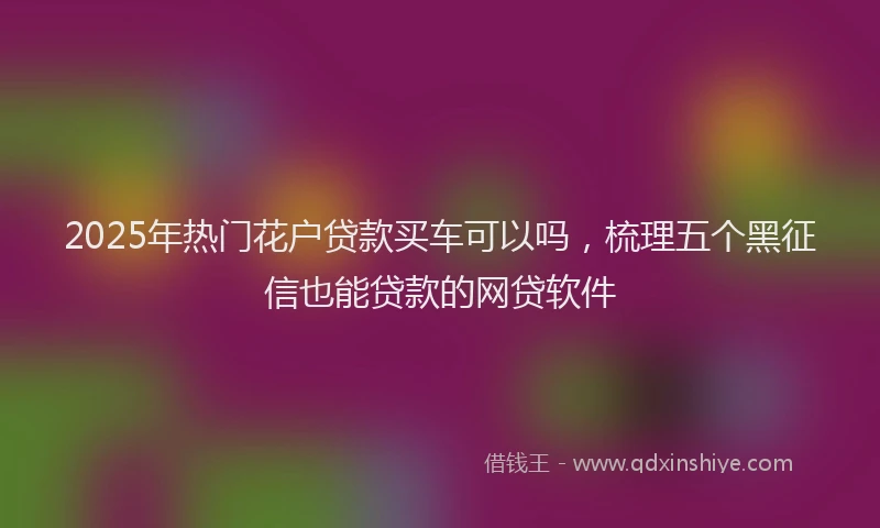 2025年热门花户贷款买车可以吗，梳理五个黑征信也能贷款的网贷软件