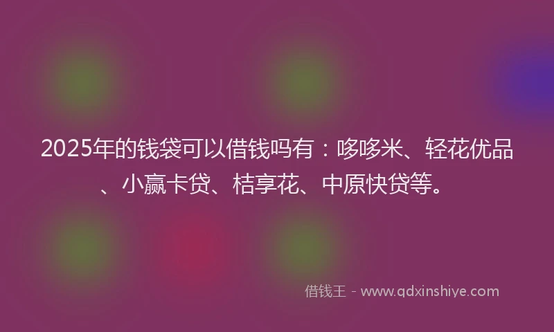 2025年的钱袋可以借钱吗有：哆哆米、轻花优品、小赢卡贷、桔享花、中原快贷等。