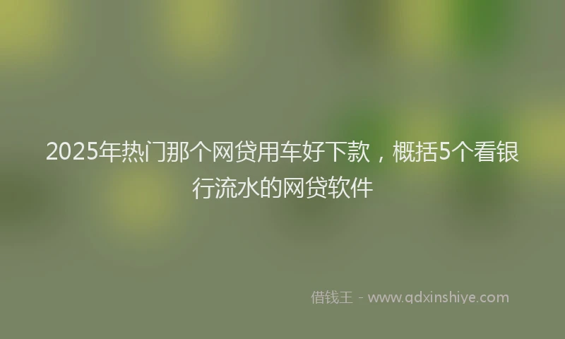 2025年热门那个网贷用车好下款,概括5个看银行流水的网贷软件