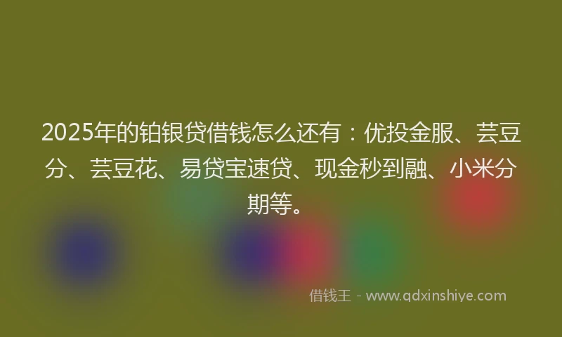 2025年的铂银贷借钱怎么还有：优投金服、芸豆分、芸豆花、易贷宝速贷、现金秒到融、小米分期等。