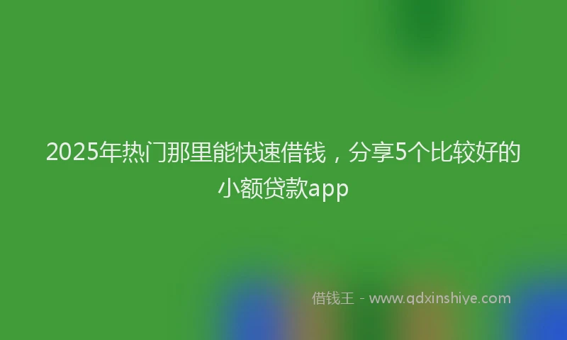 2025年热门那里能快速借钱，分享5个比较好的小额贷款app