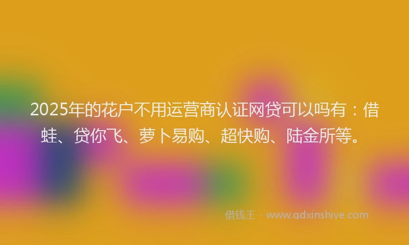 2025年的花户不用运营商认证网贷可以吗有：借蛙、贷你飞、萝卜易购、超快购、陆金所等。