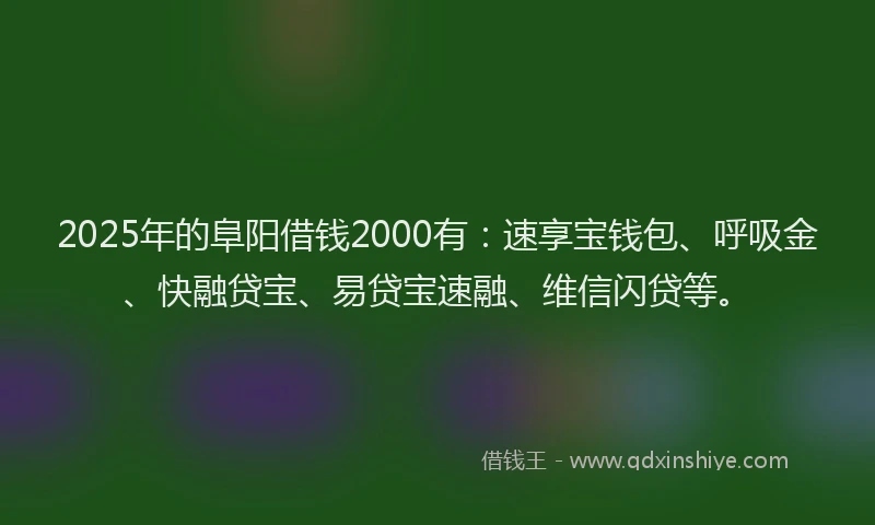 2025年的阜阳借钱2000有：速享宝钱包、呼吸金、快融贷宝、易贷宝速融、维信闪贷等。