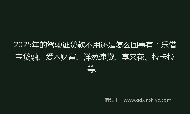 2025年的驾驶证贷款不用还是怎么回事有:乐借宝贷融、爱木财富、洋葱速贷、享来花、拉卡拉等。