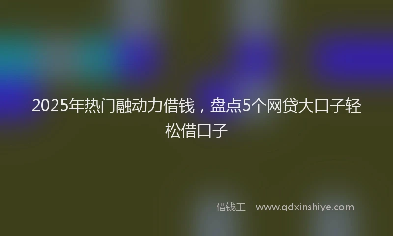 2025年热门融动力借钱，盘点5个网贷大口子轻松借口子
