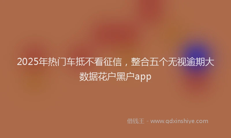 2025年热门车抵不看征信,整合五个无视逾期大数据花户黑户app