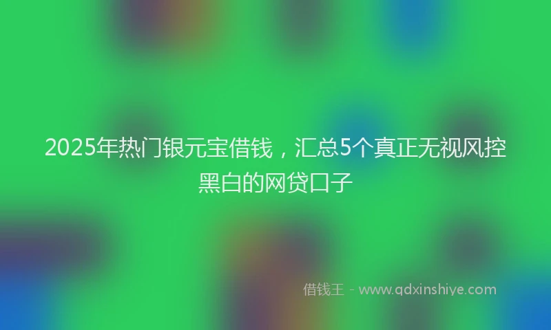 2025年热门银元宝借钱,汇总5个真正无视风控黑白的网贷口子