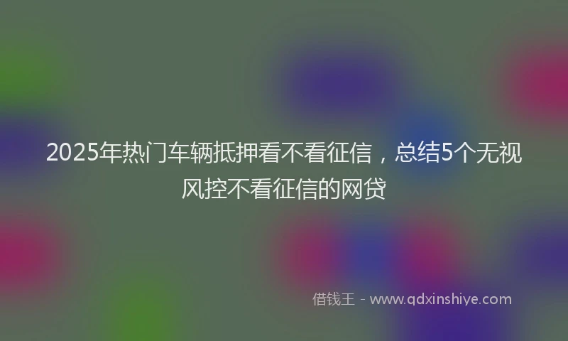 2025年热门车辆抵押看不看征信，总结5个无视风控不看征信的网贷