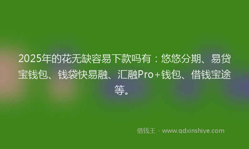 2025年的花无缺容易下款吗有:悠悠分期、易贷宝钱包、钱袋快易融、汇融Pro+钱包、借钱宝途等。