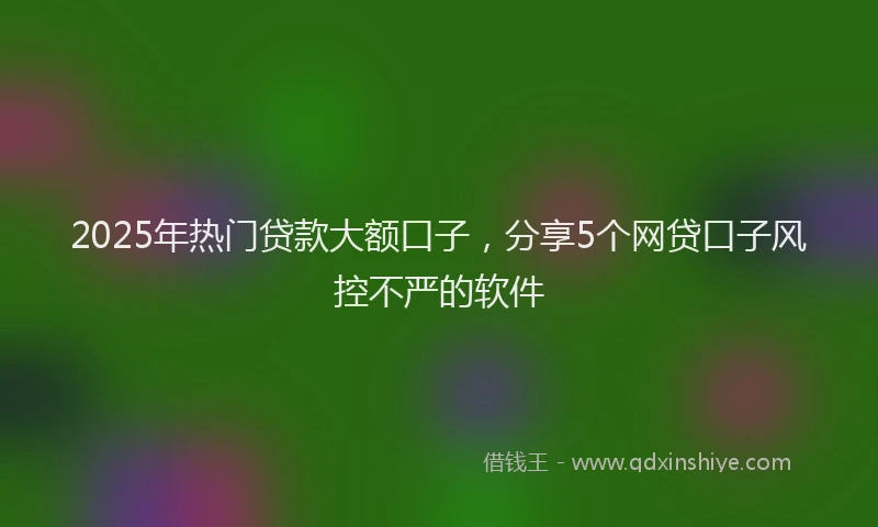 2025年热门贷款大额口子,分享5个网贷口子风控不严的软件
