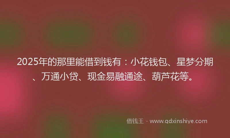 2025年的那里能借到钱有：小花钱包、星梦分期、万通小贷、现金易融通途、葫芦花等。