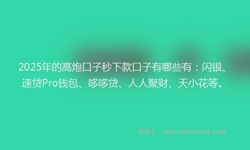 2025年的高炮口子秒下款口子有哪些有:闪银、速贷Pro钱包、哆哆贷、人人聚财、天小花等。