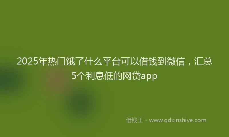 2025年热门饿了什么平台可以借钱到微信，汇总5个利息低的网贷app