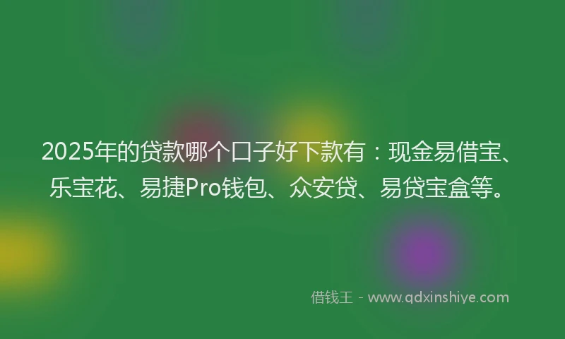 2025年的贷款哪个口子好下款有:现金易借宝、乐宝花、易捷Pro钱包、众安贷、易贷宝盒等。