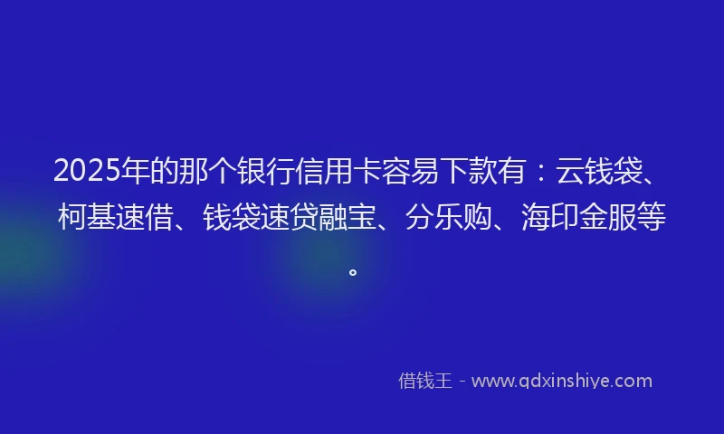 2025年的那个银行信用卡容易下款有：云钱袋、柯基速借、钱袋速贷融宝、分乐购、海印金服等。