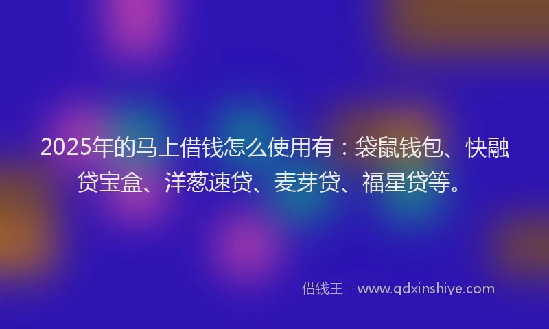 2025年的马上借钱怎么使用有：袋鼠钱包、快融贷宝盒、洋葱速贷、麦芽贷、福星贷等。