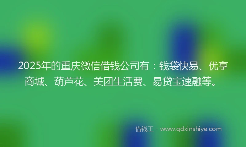 2025年的重庆微信借钱公司有：钱袋快易、优享商城、葫芦花、美团生活费、易贷宝速融等。