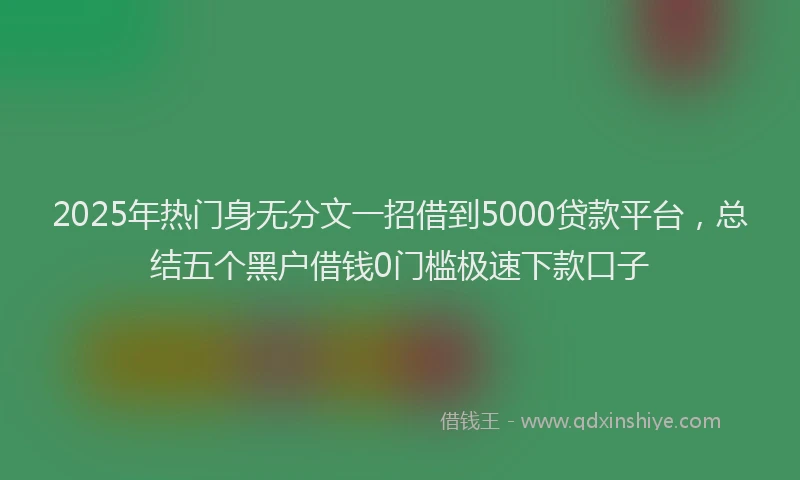 2025年热门身无分文一招借到5000贷款平台,总结五个黑户借钱0门槛极速下款口子