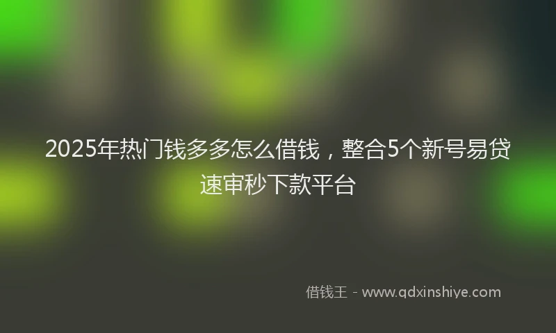 2025年热门钱多多怎么借钱,整合5个新号易贷速审秒下款平台