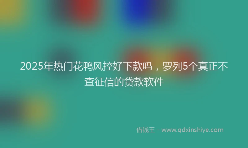 2025年热门花鸭风控好下款吗，罗列5个真正不查征信的贷款软件