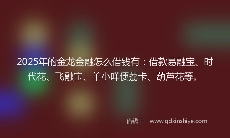 2025年的金龙金融怎么借钱有:借款易融宝、时代花、飞融宝、羊小咩便荔卡、葫芦花等。