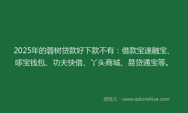 2025年的蓉树贷款好下款不有：借款宝速融宝、哆宝钱包、功夫快借、丫头商城、易贷通宝等。