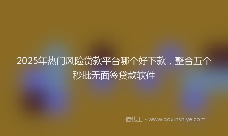 2025年热门风险贷款平台哪个好下款，整合五个秒批无面签贷款软件